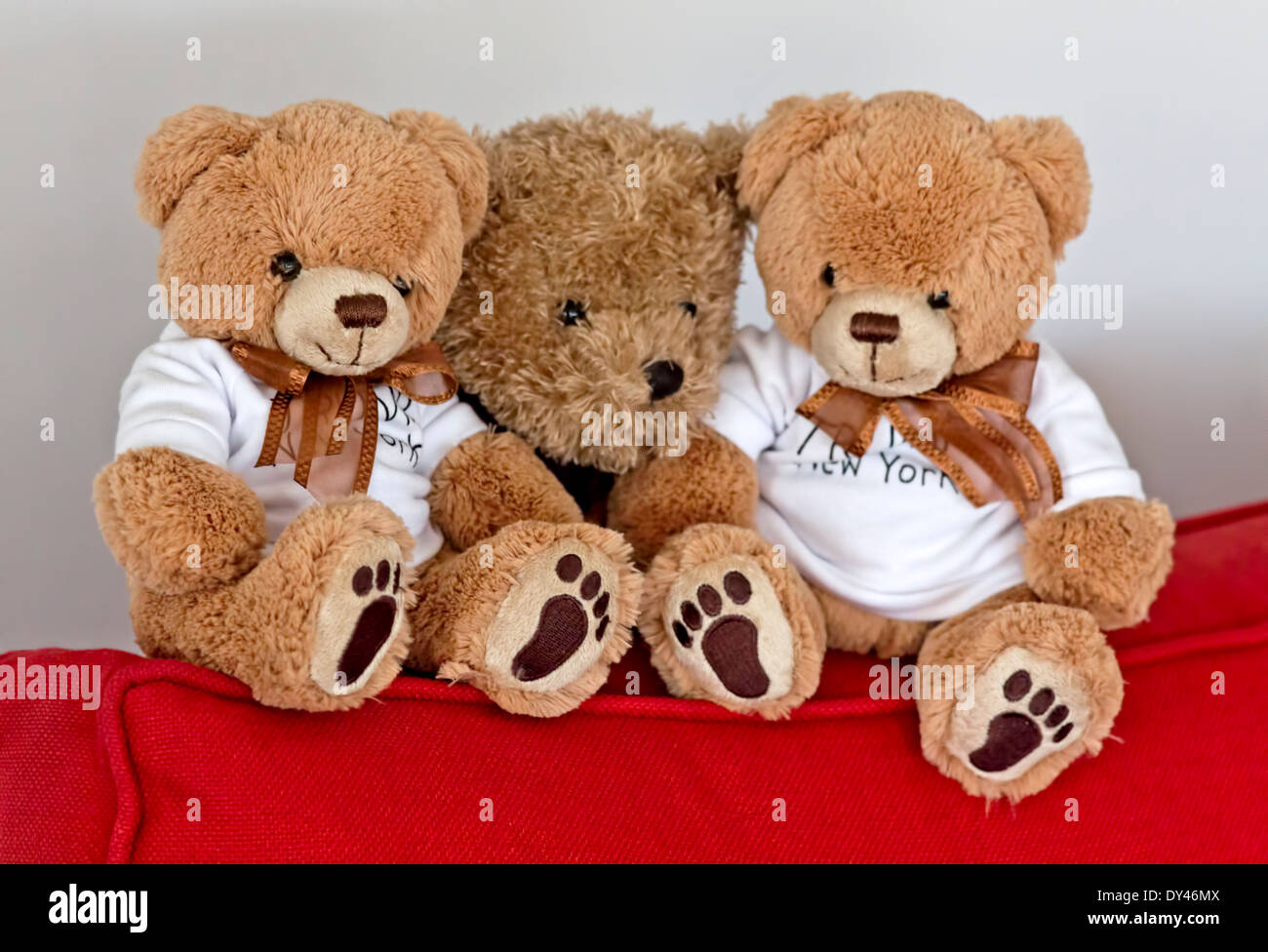 cuddly teddy bears