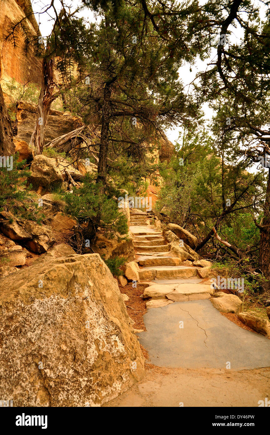 Mesa Verde stairs Stock Photo