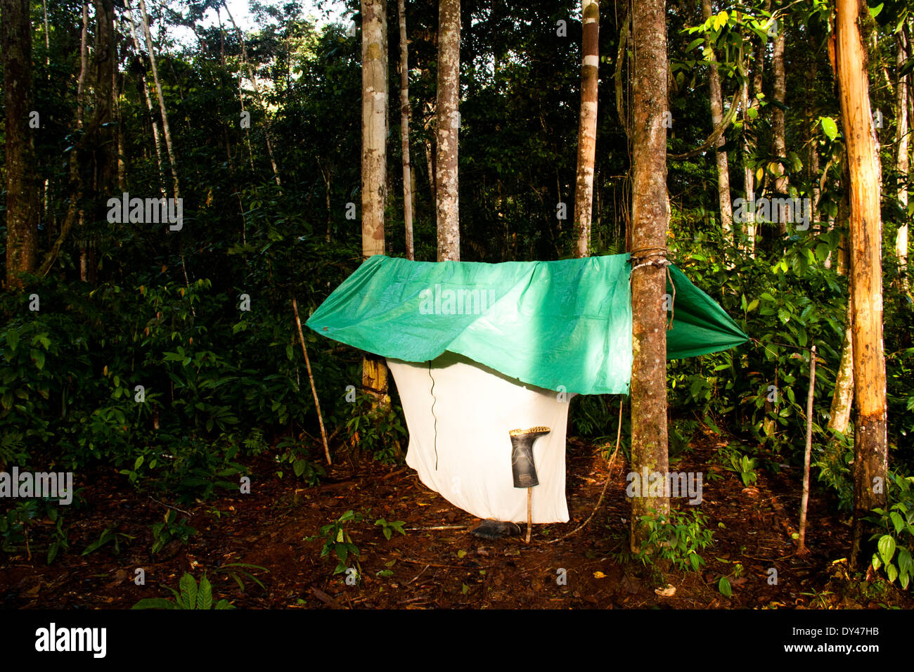 Explorers jungle hi-res stock photography and images - Alamy
