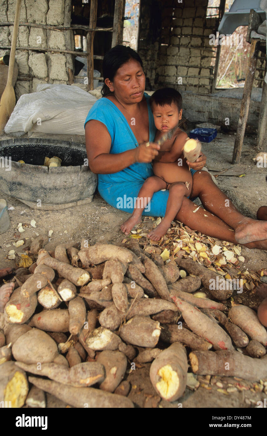Macuxi indians preparing and cooking staple foods, cassava, maize flour. Roraima Province