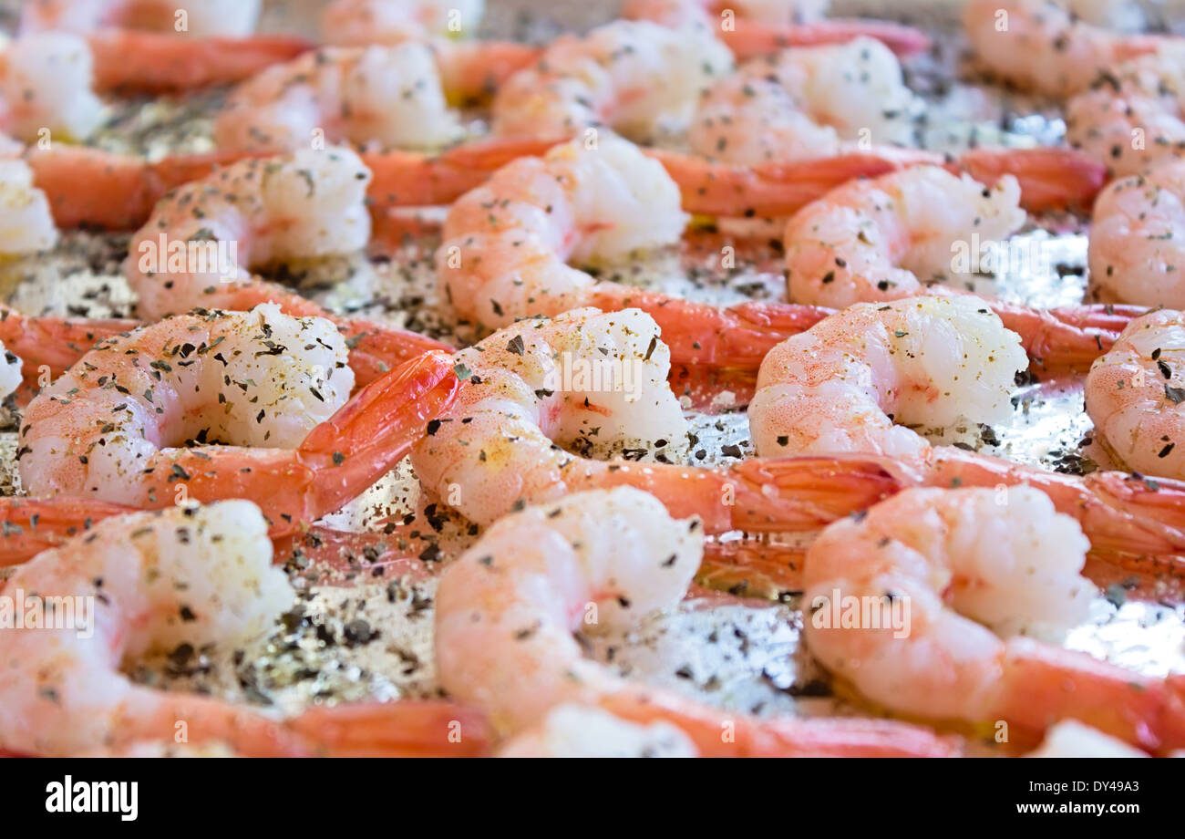 Cooked Shrimp with olive oil and herbs Stock Photo Alamy