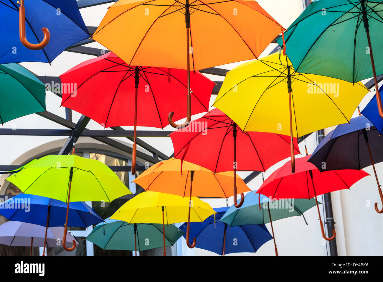 A set of many colorful and open umbrellas Stock Photo Alamy