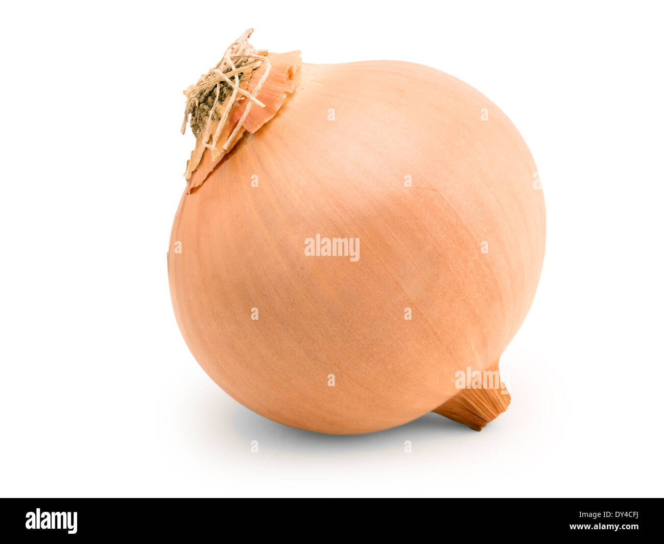 onion isolated on white background Stock Photo - Alamy