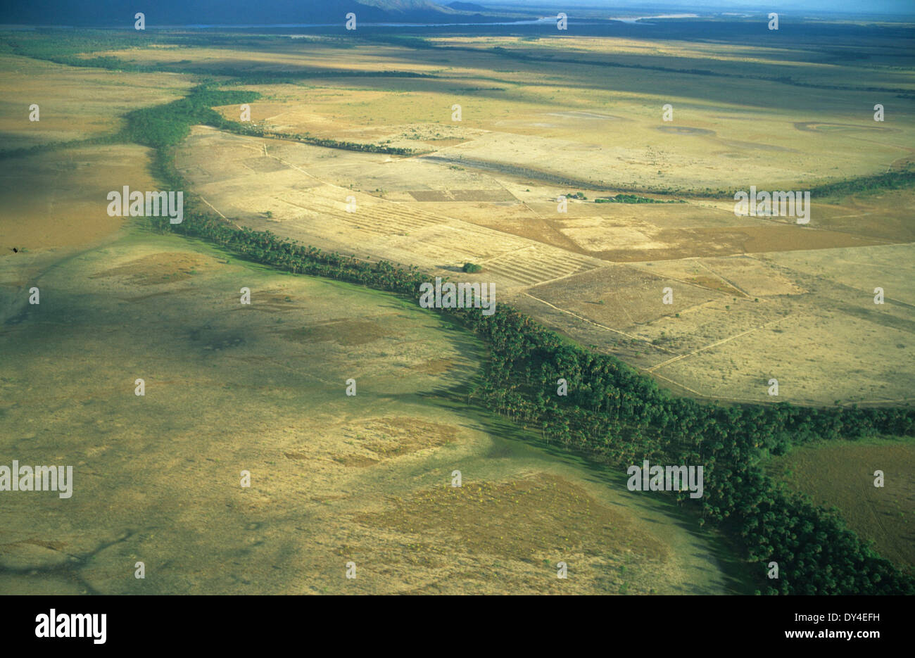 Aerial view, agriculture, savanna and crops, Amazon, Brazil, South