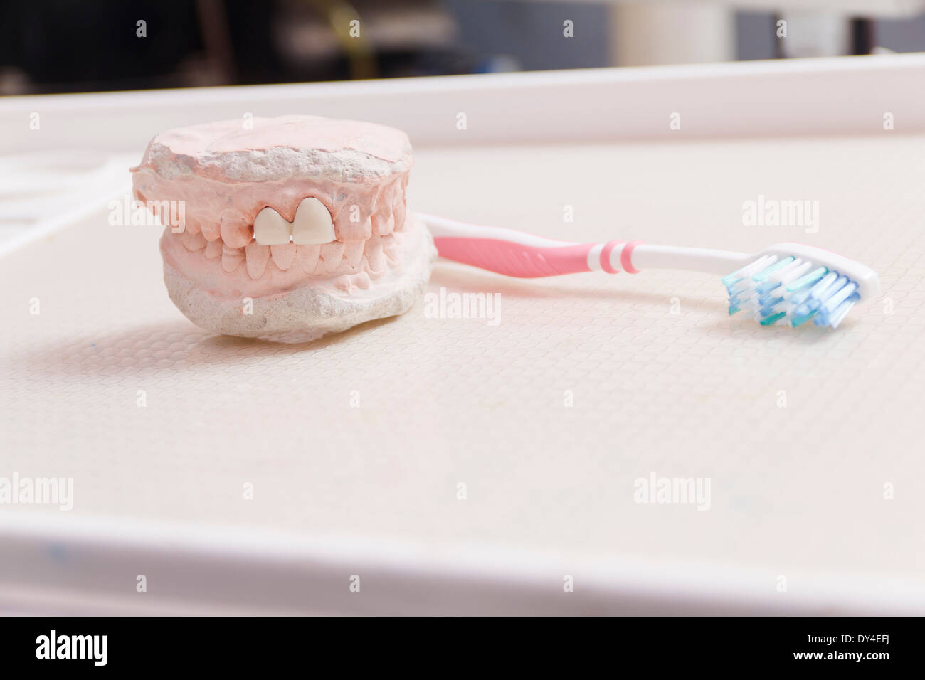 Indian Artificial dental model isolated on white Stock Photo Alamy