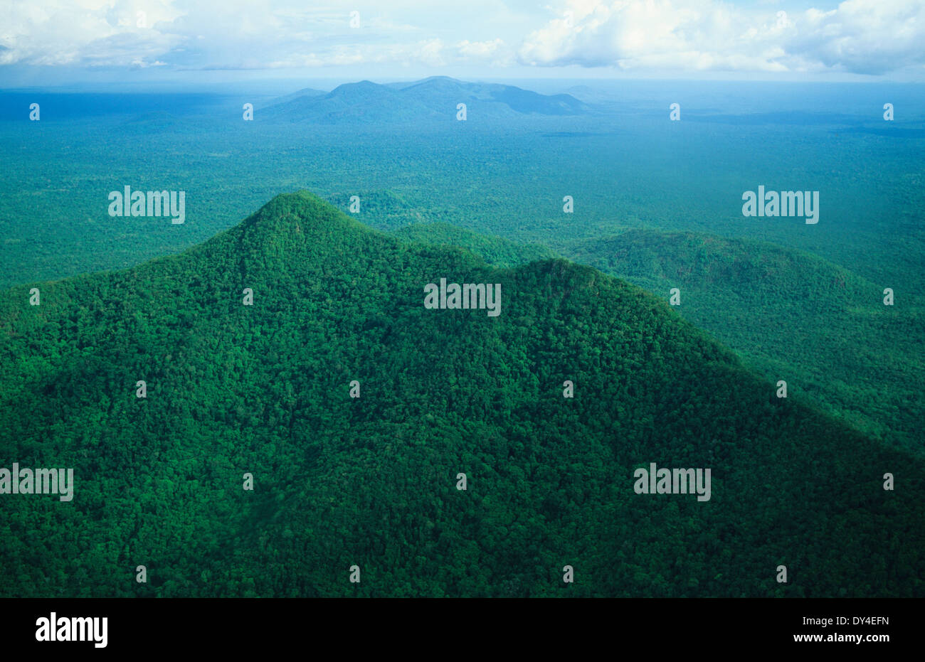 Amazon rainforest canopy hi-res stock photography and images - Alamy