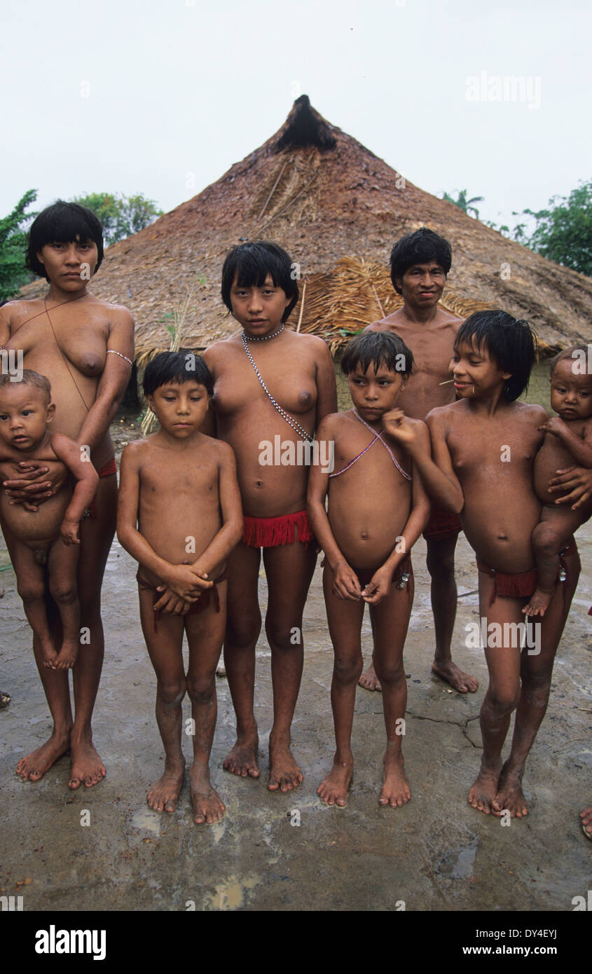 yanomami nudes Family yanomami Indians in Molaca communal dwelling, Roraima province, near  Boa Vista, Brazil, Amazon Stock Photo - Alamy