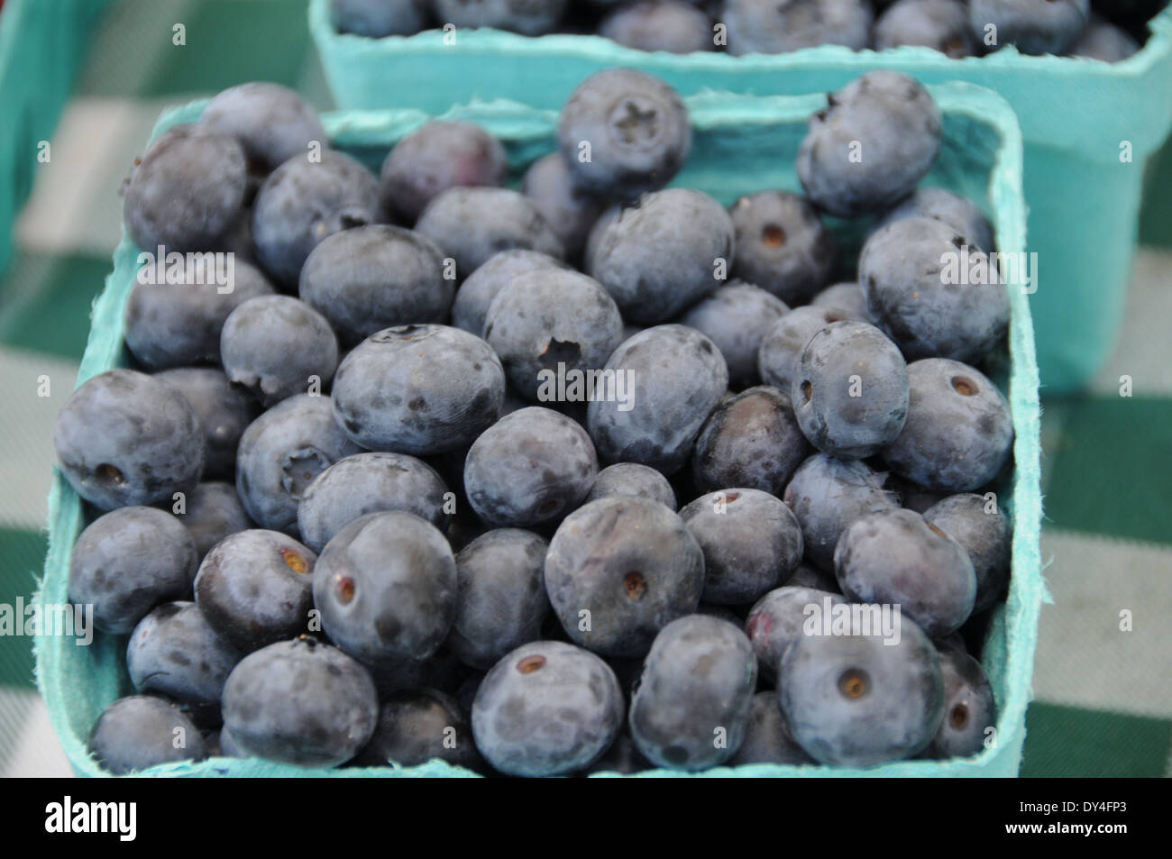 Fruit bush for sale hires stock photography and images Alamy