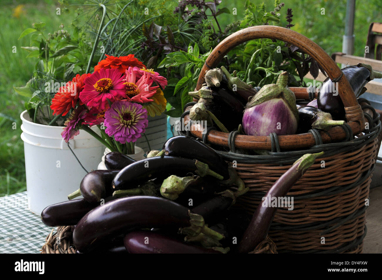 Fresh Vegetables at the Farmers Market Stock Photo - Alamy