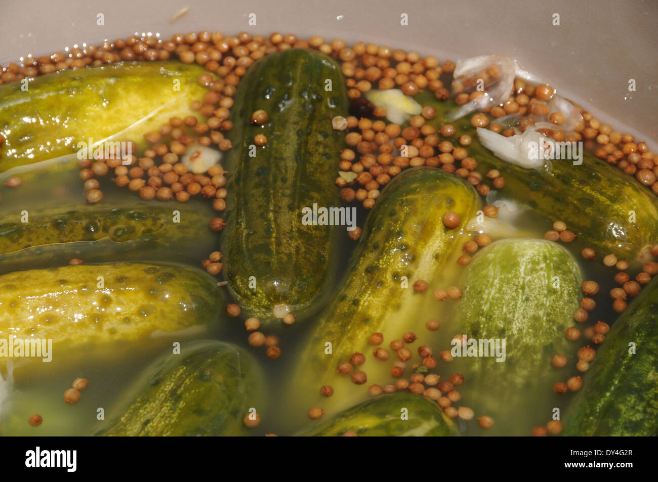 Pickles on sale at farmers market Stock Photo Alamy