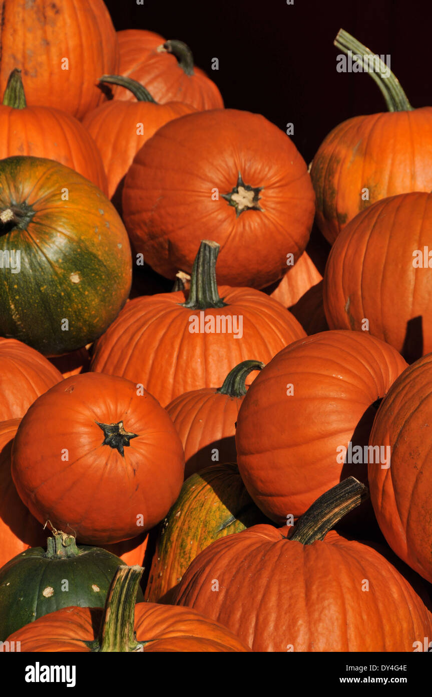 Tomato Heirloom on sale at farmers market Stock Photo - Alamy