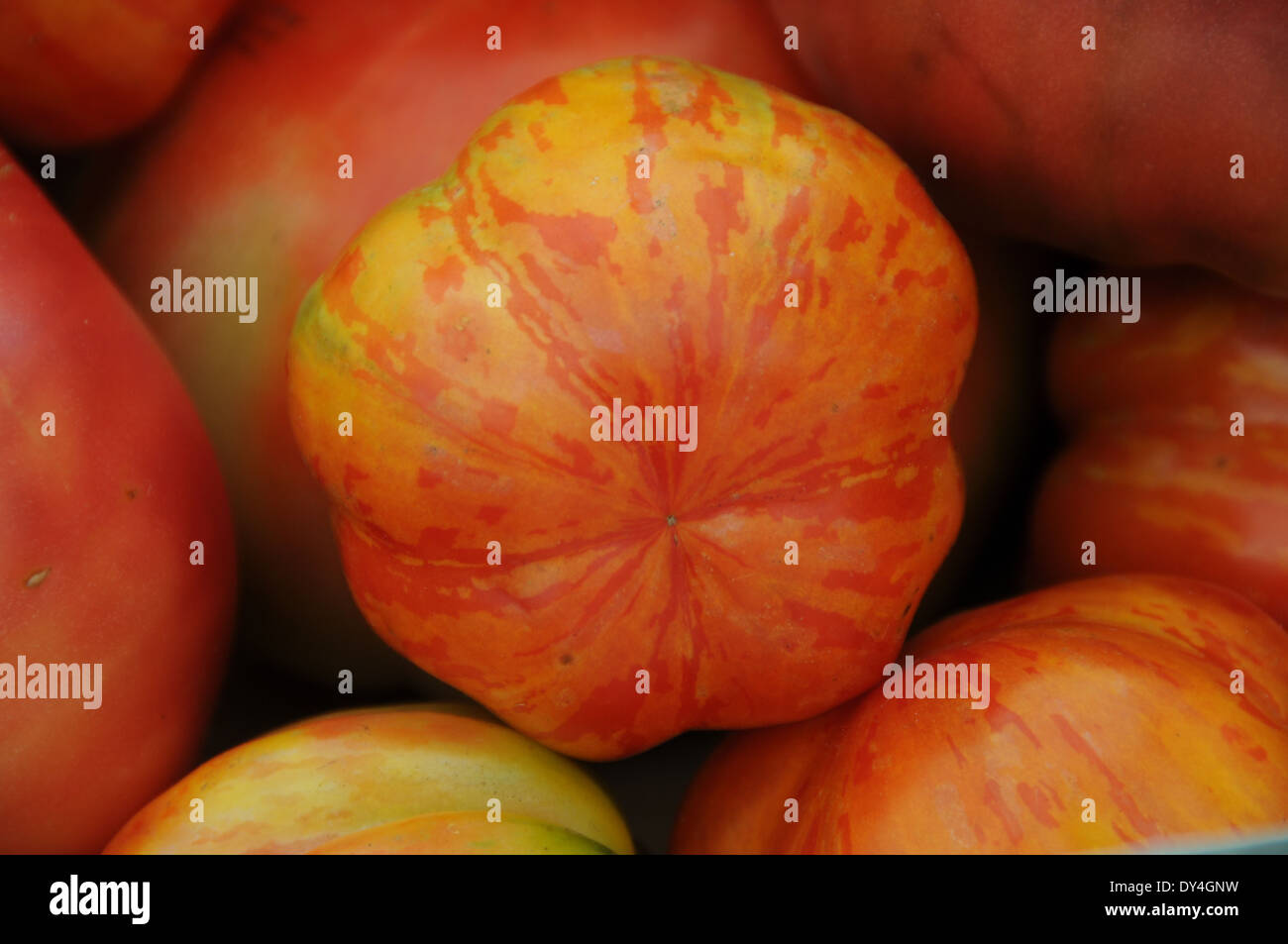 Tomato Heirloom on sale at farmers market Stock Photo - Alamy