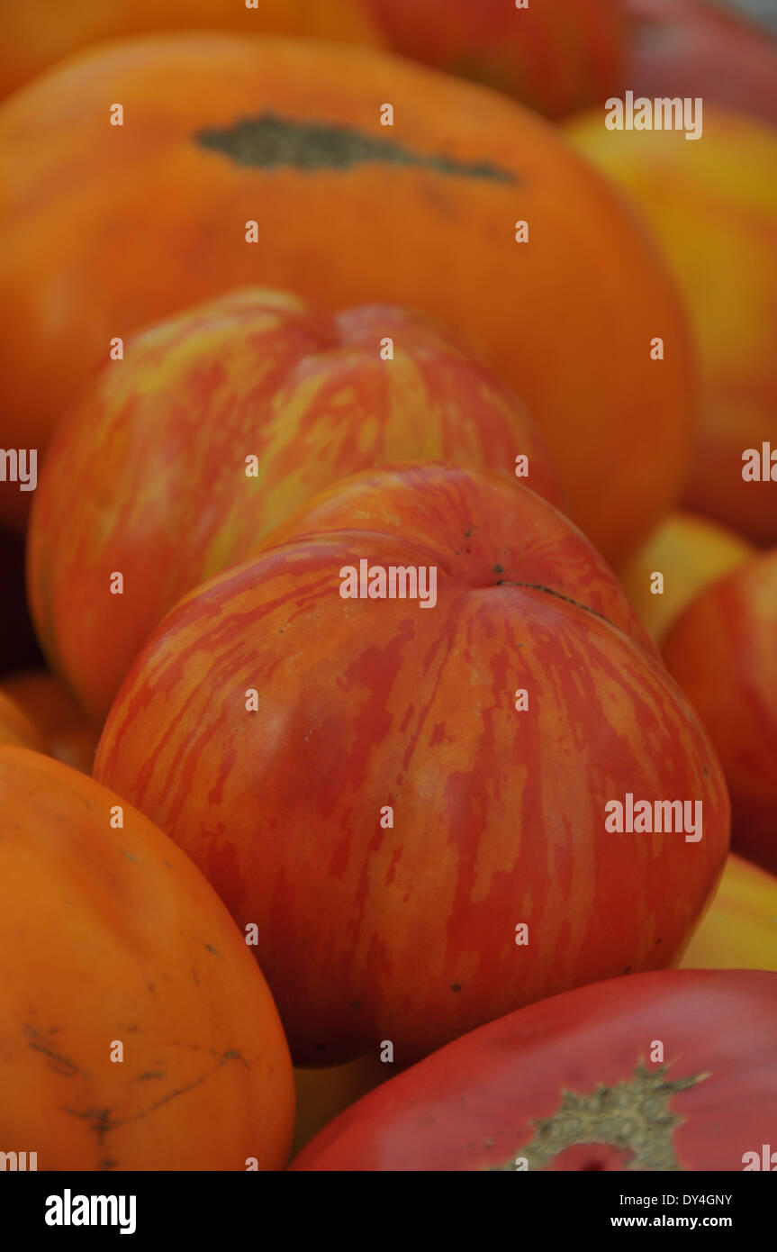 Tomato Heirloom on sale at farmers market Stock Photo - Alamy