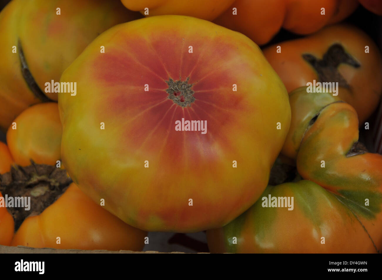 Tomato Heirloom on sale at farmers market Stock Photo - Alamy
