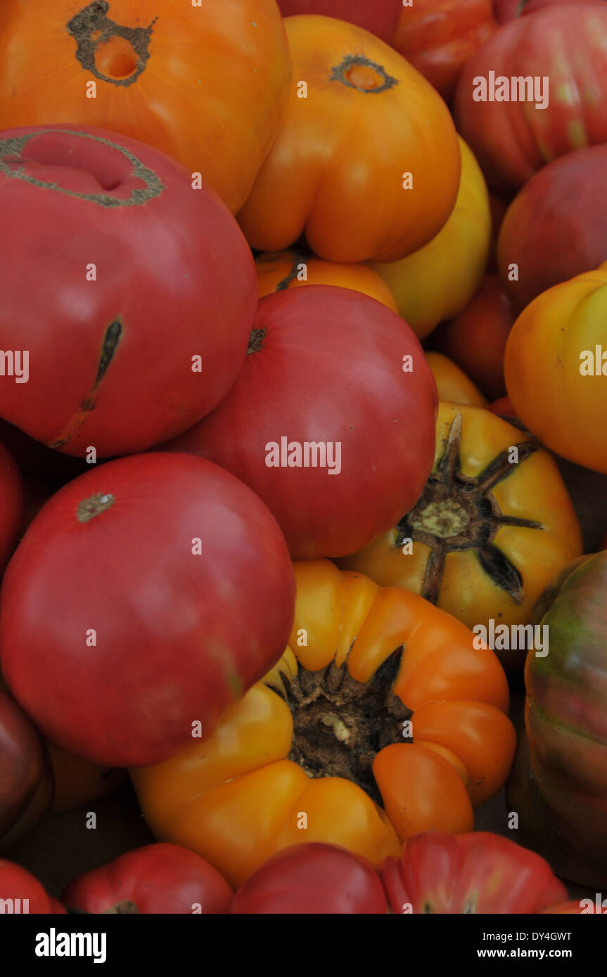 Tomato Heirloom on sale at farmers market Stock Photo - Alamy