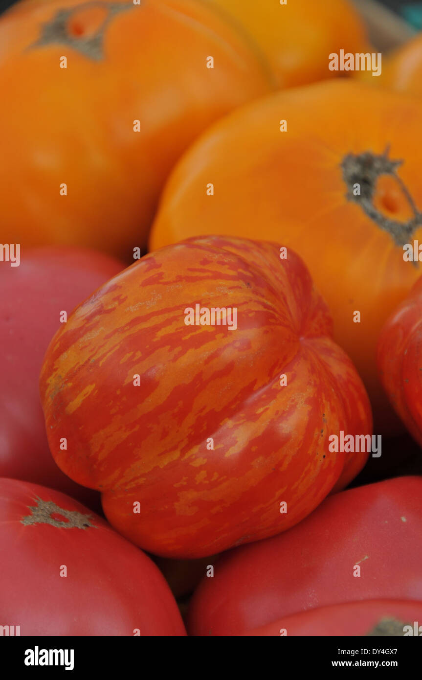 Tomato Heirloom on sale at farmers market Stock Photo - Alamy