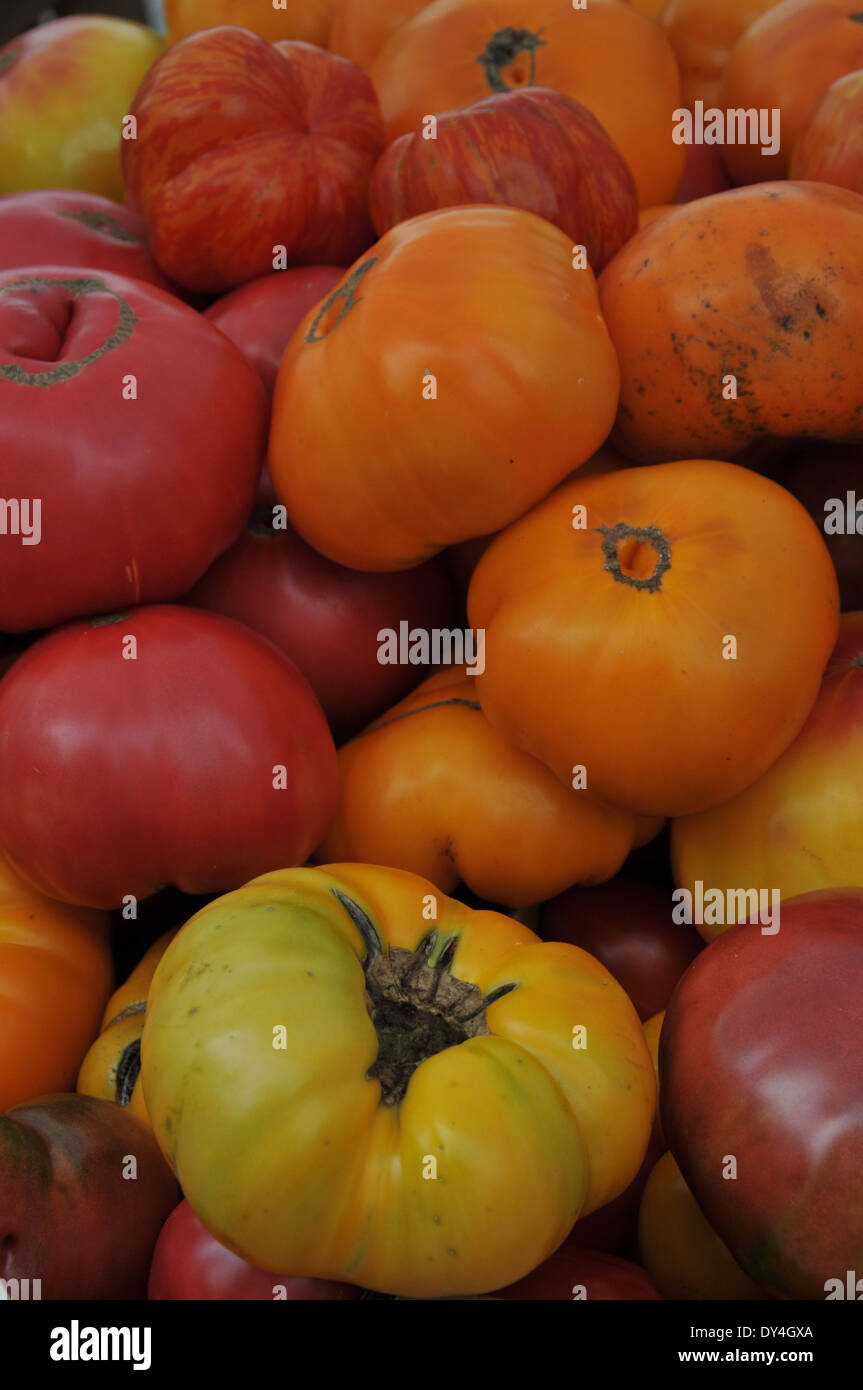 Tomato Heirloom on sale at farmers market Stock Photo - Alamy