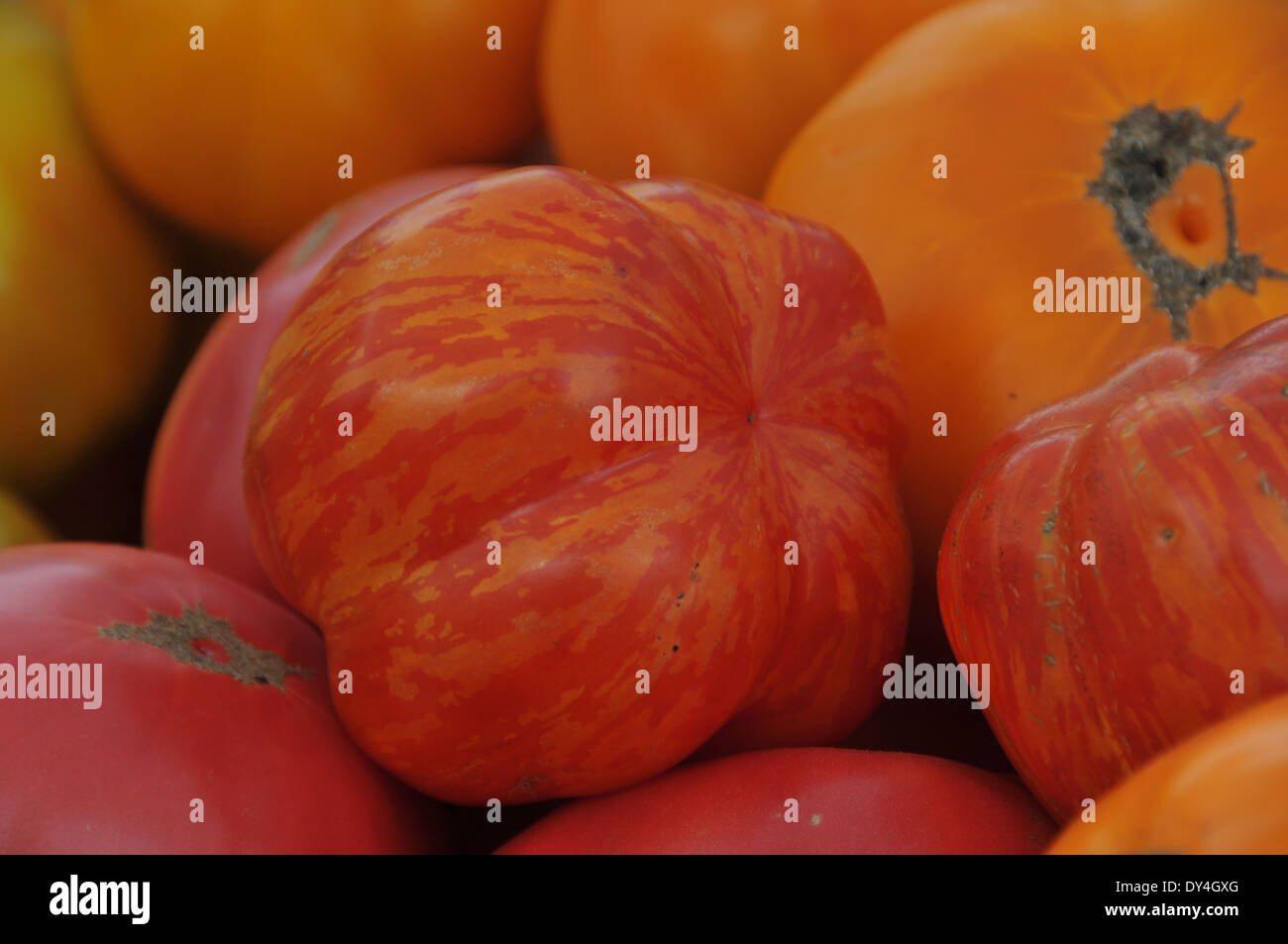 Tomato Heirloom on sale at farmers market Stock Photo - Alamy