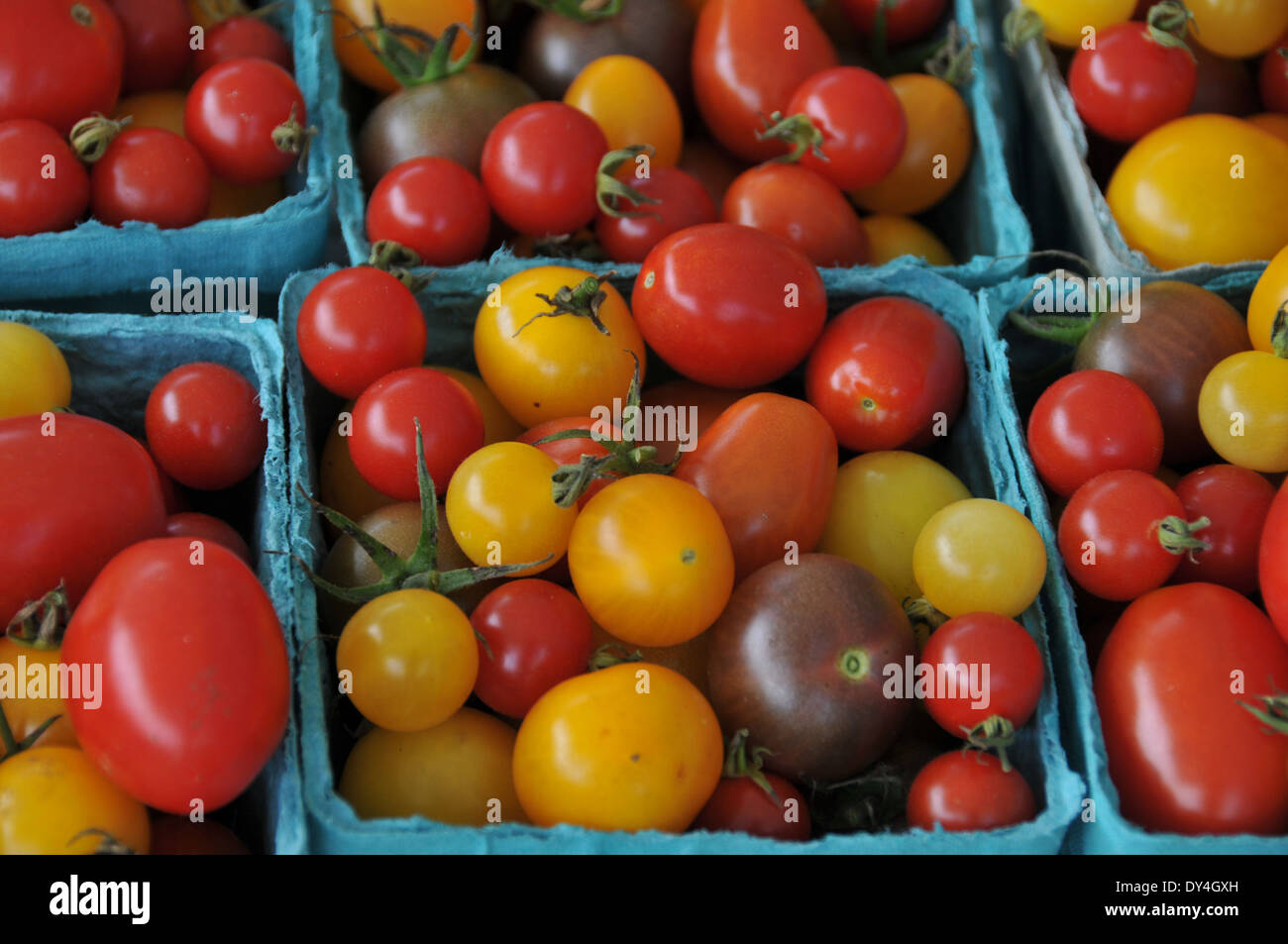 Tomato Heirloom on sale at farmers market Stock Photo - Alamy