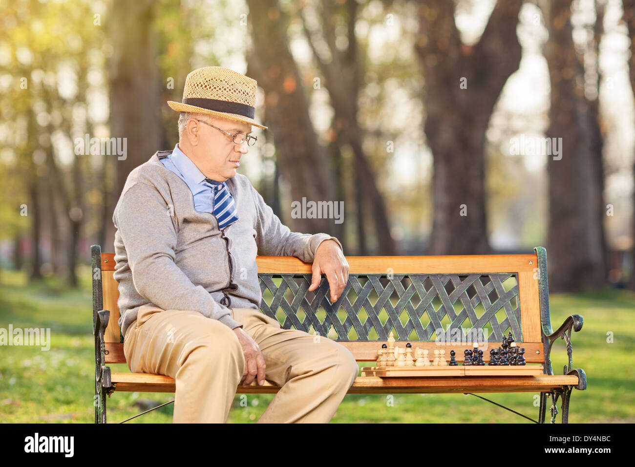 Lonley senior playing chess in park Stock Photo