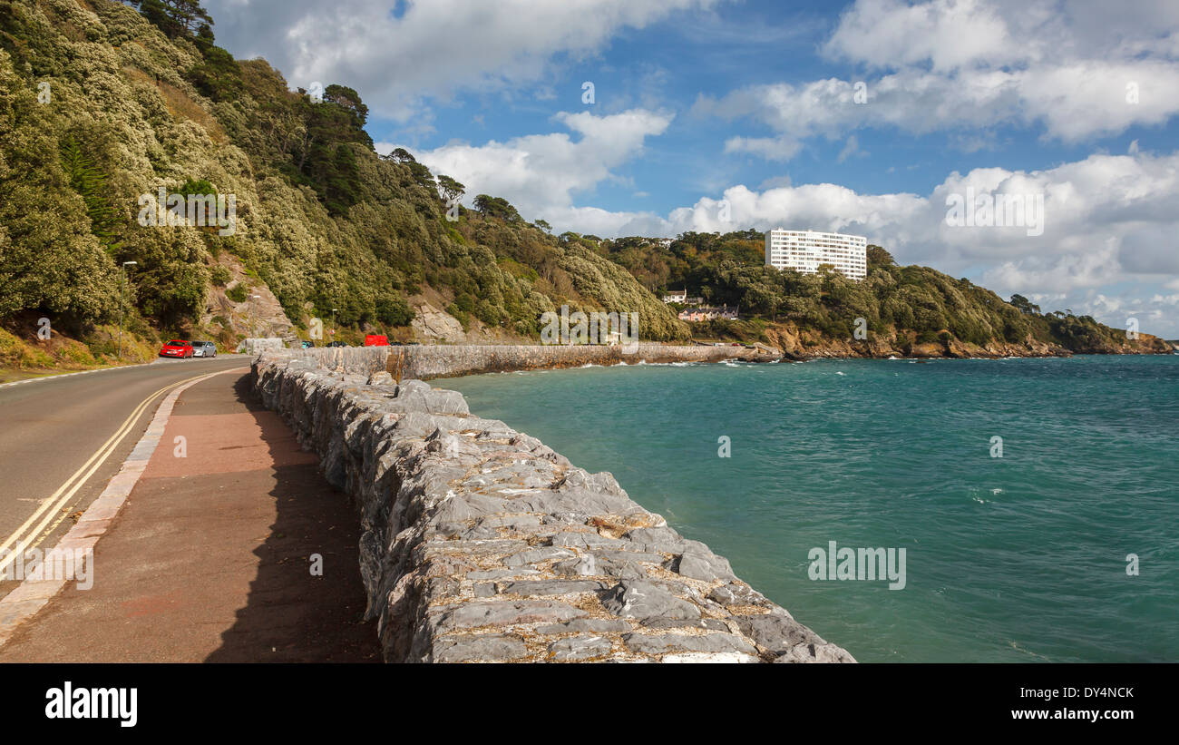 Meadfoot Bay and beach at Torquay Devon England UK Europe Stock Photo