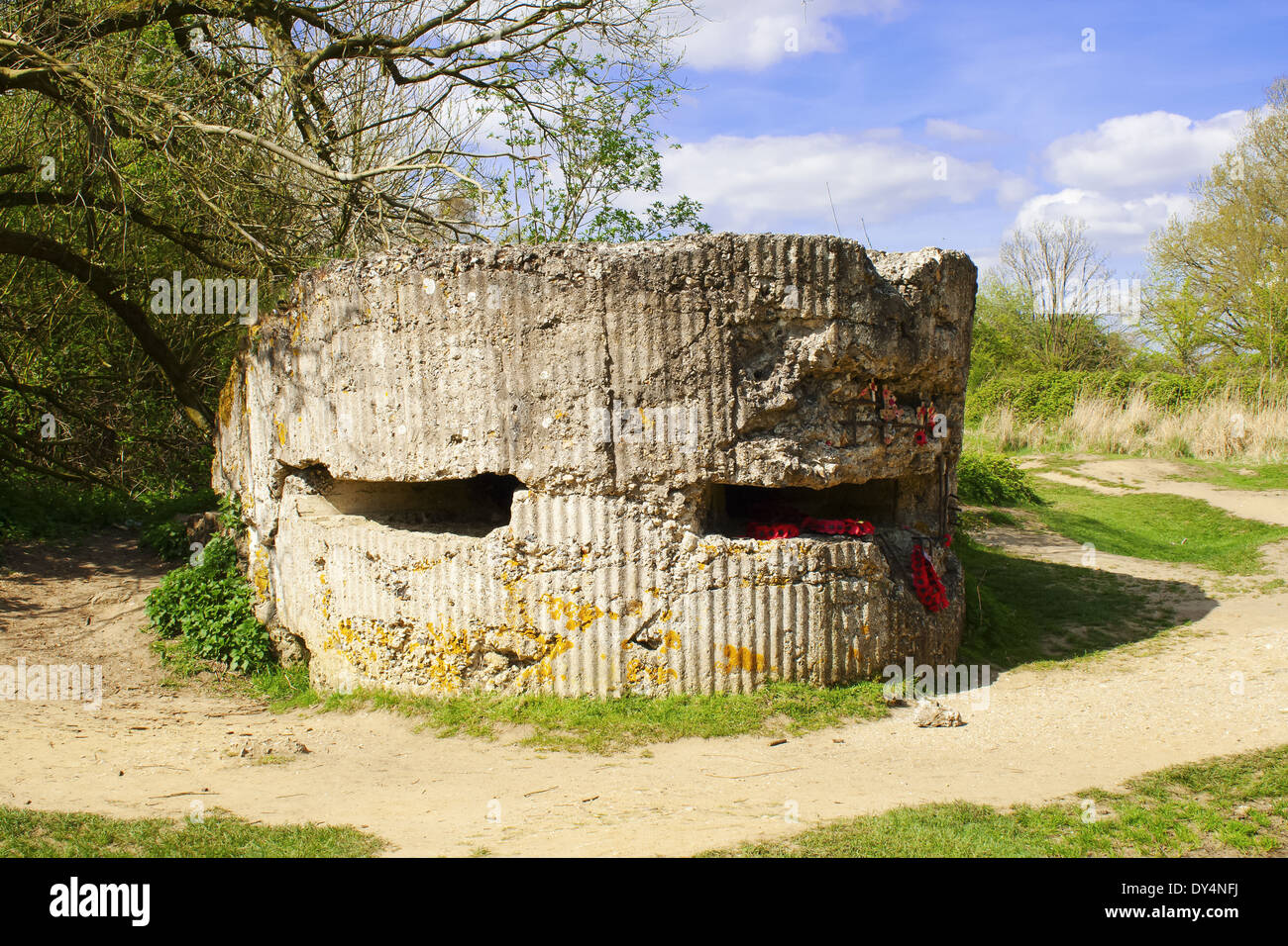 Hill 60 pillbox world war 1 German bunker Stock Photo Alamy