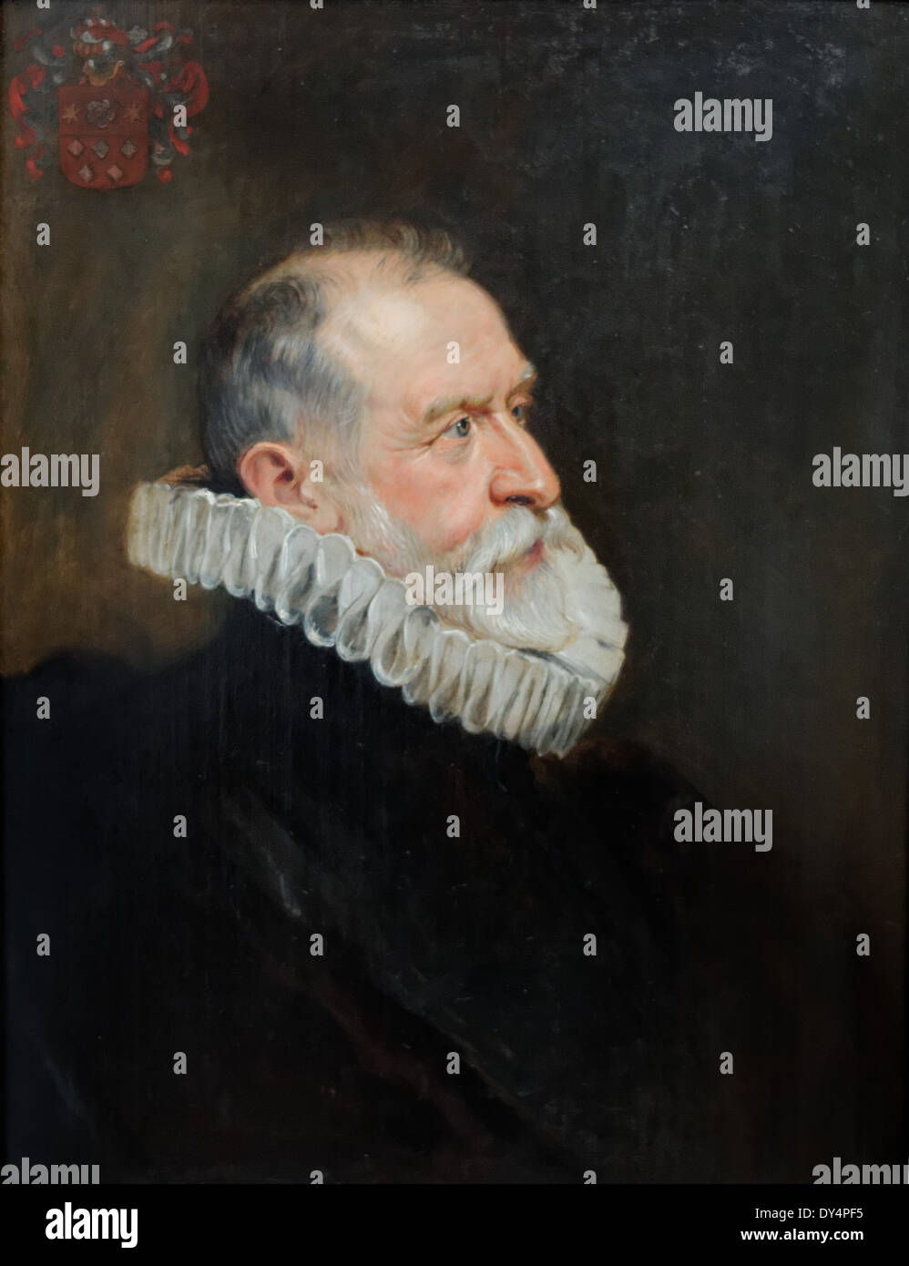 Peter Paul Rubens - Portrait of an aged man - 1625 - XVII th Century - Flemish School - Gemäldegalerie - Berlin Stock Photo