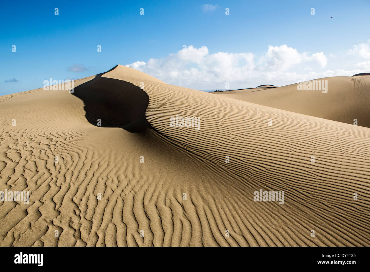 Dunes of Maspalomas, Gran Canaria, Canary Islands Stock Photo