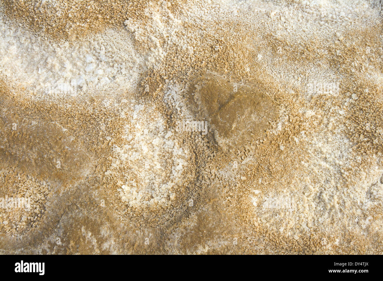 Dried bottom of salty lake Baskunchak, Russia Stock Photo Alamy