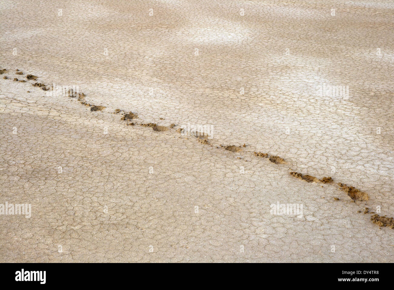Dried bottom of salty lake Baskunchak, Russia Stock Photo Alamy
