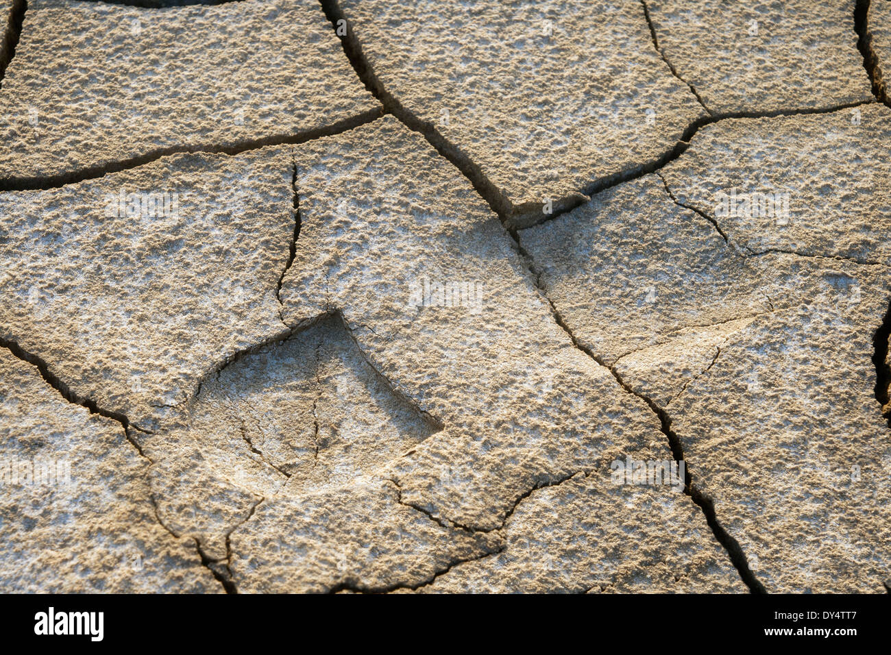 Shoeprint Stock Photos & Shoeprint Stock Images Alamy