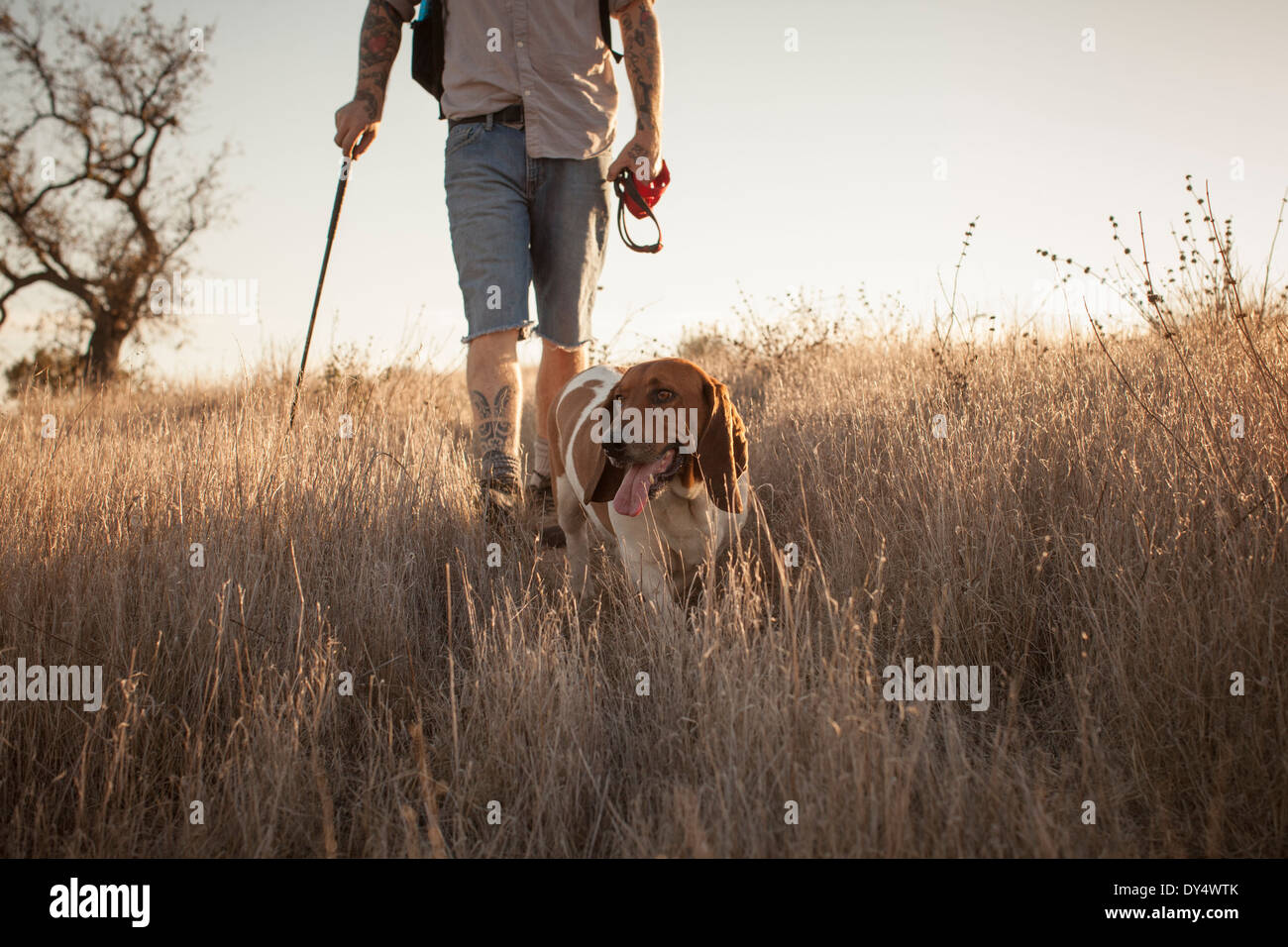 2019 year - How to Hike with Your Hound 2019 year