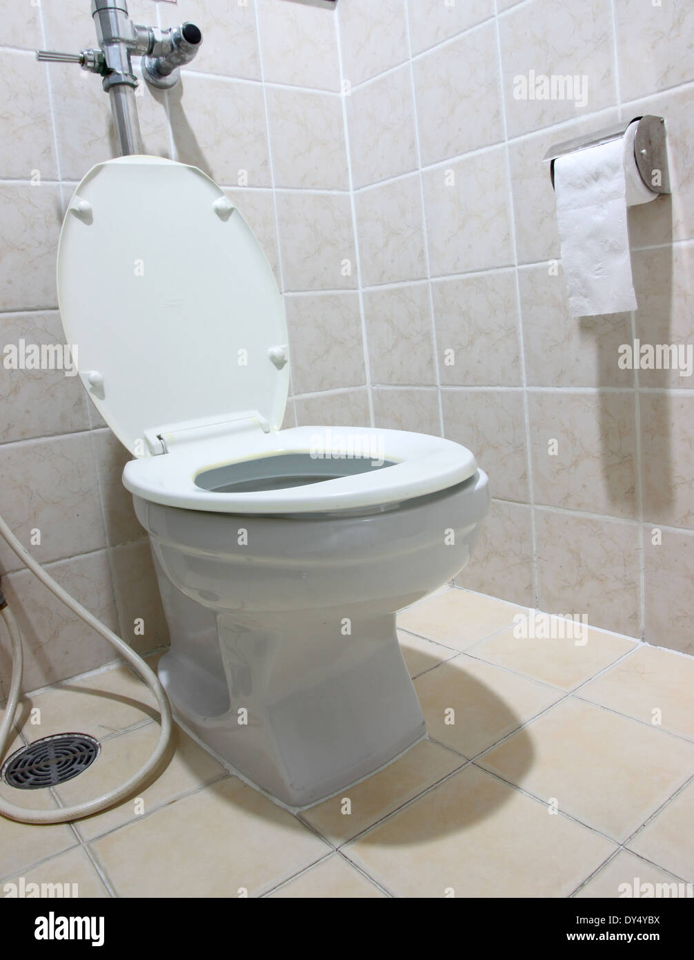White flush toilet and toilet paper in a bathroom Stock Photo Alamy