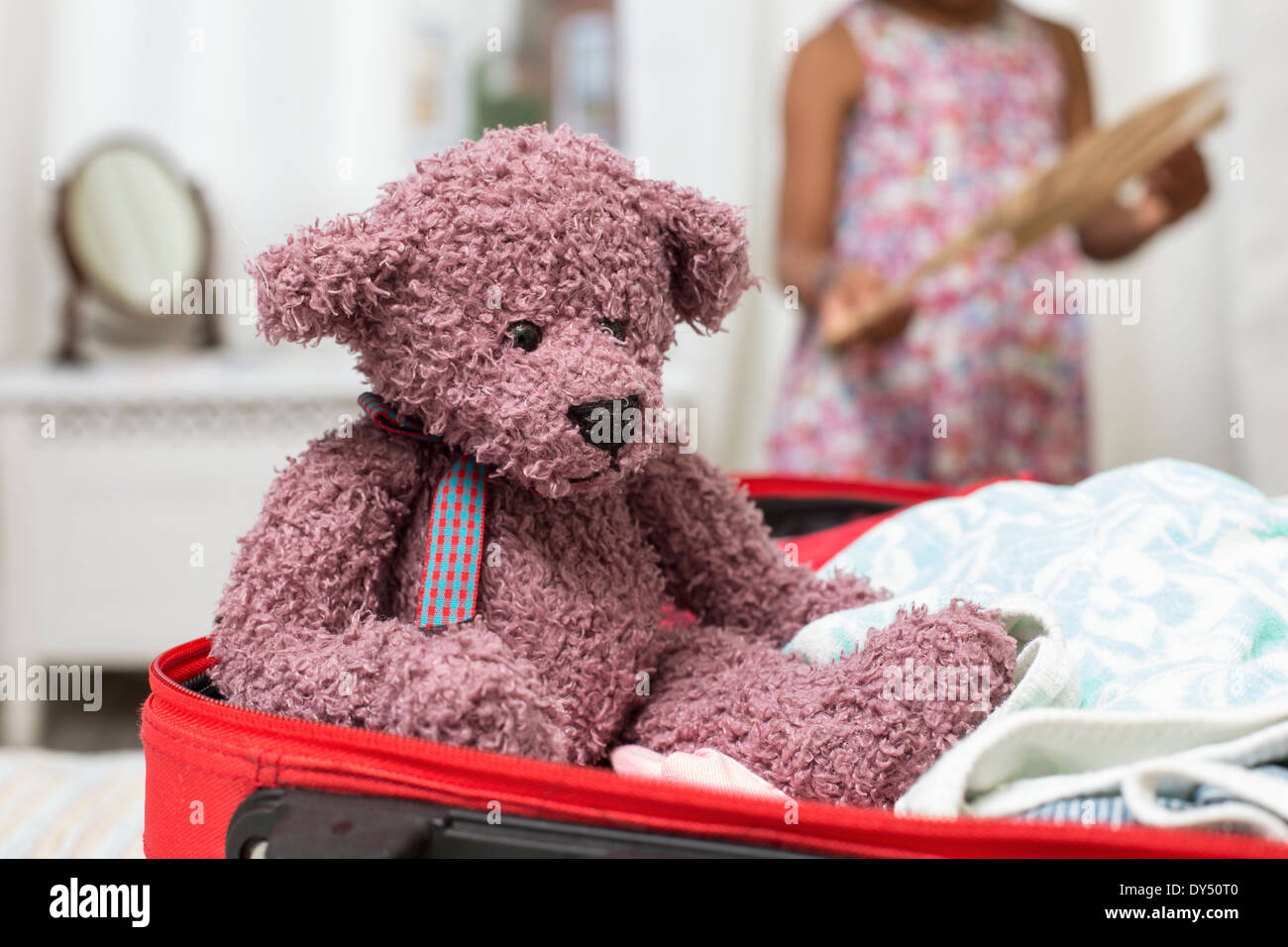 teddy in a suitcase