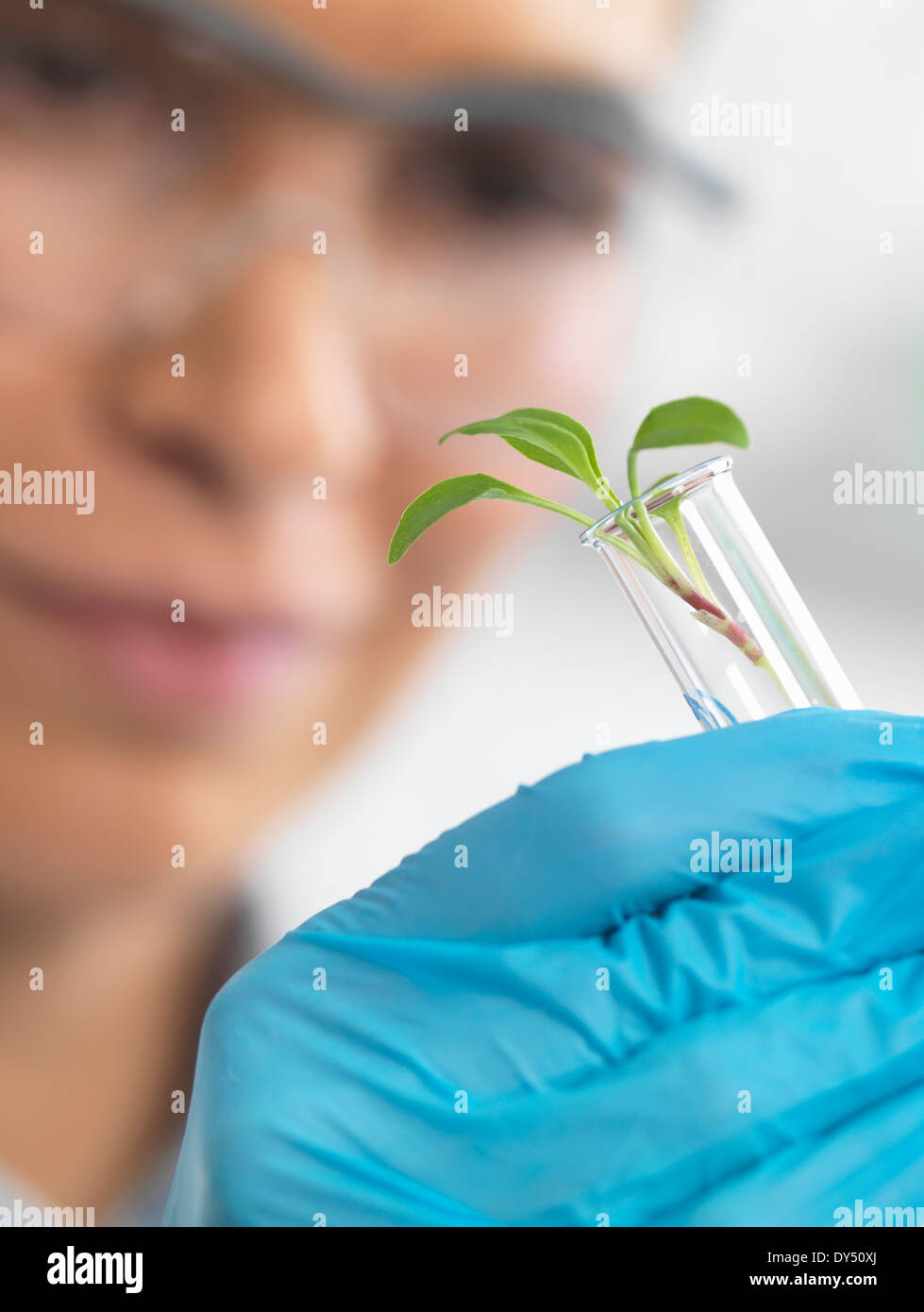 Scientist viewing seedling in test tubes under trial in lab Stock Photo