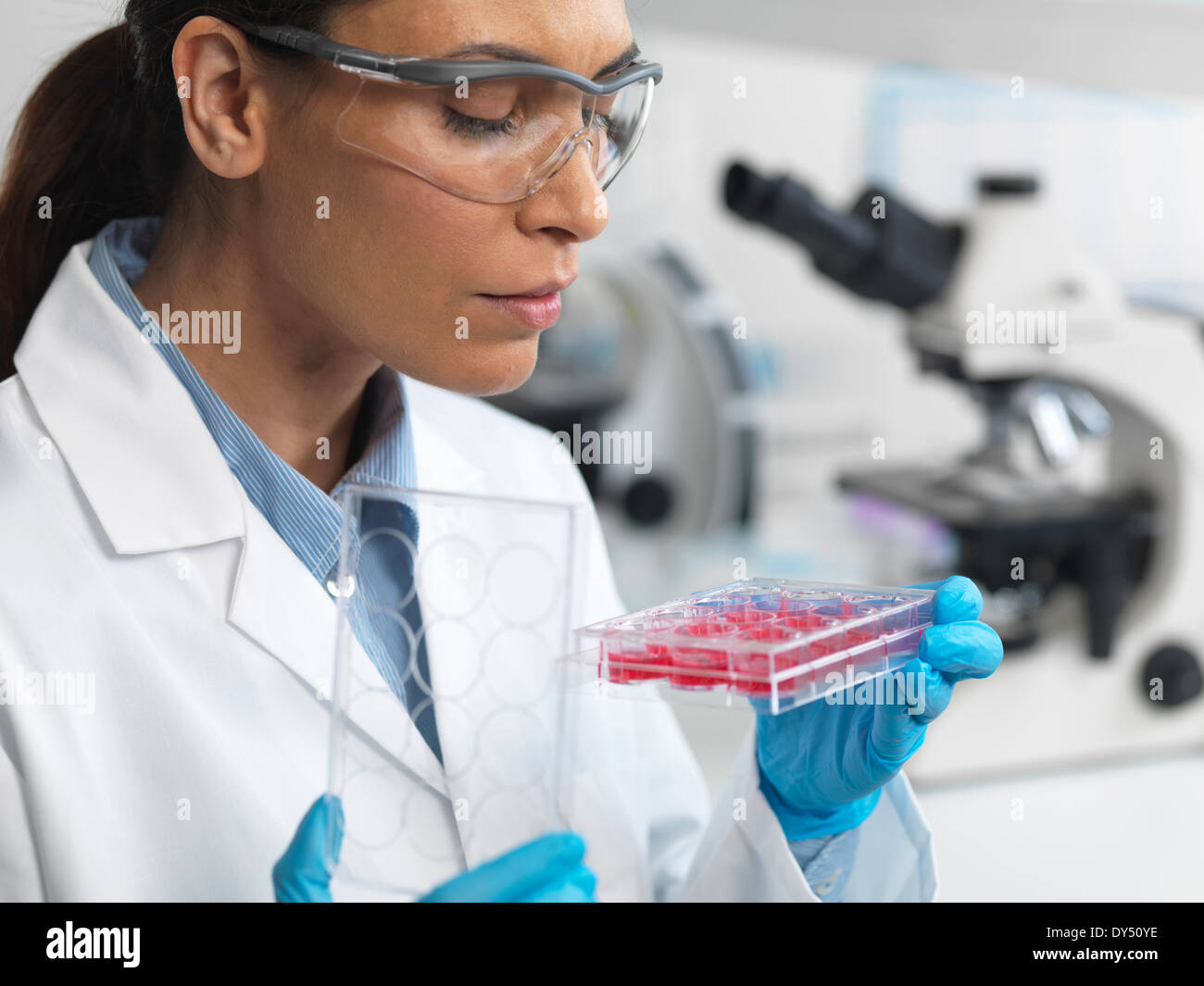 Stem cell research. Female scientist examining cell cultures in multiwell tray Stock Photo
