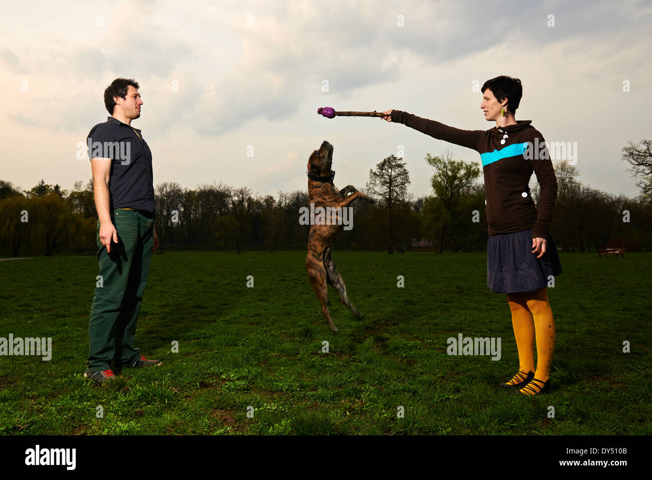 Happy Young Couple Playing with their jumping dog in the Park Stock ...