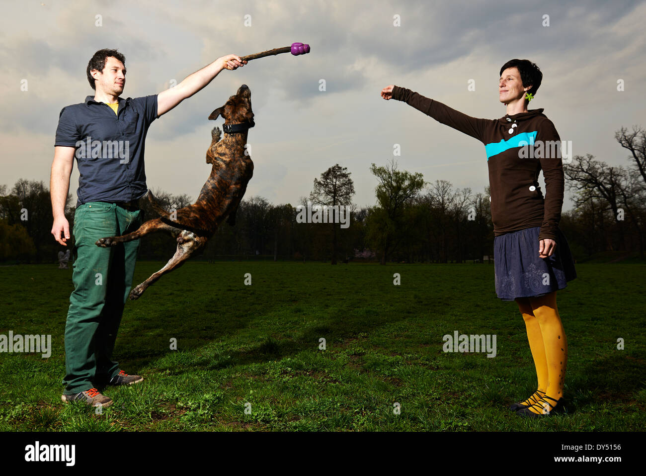 Happy Young Couple Playing with their jumping dog in the Park Stock ...