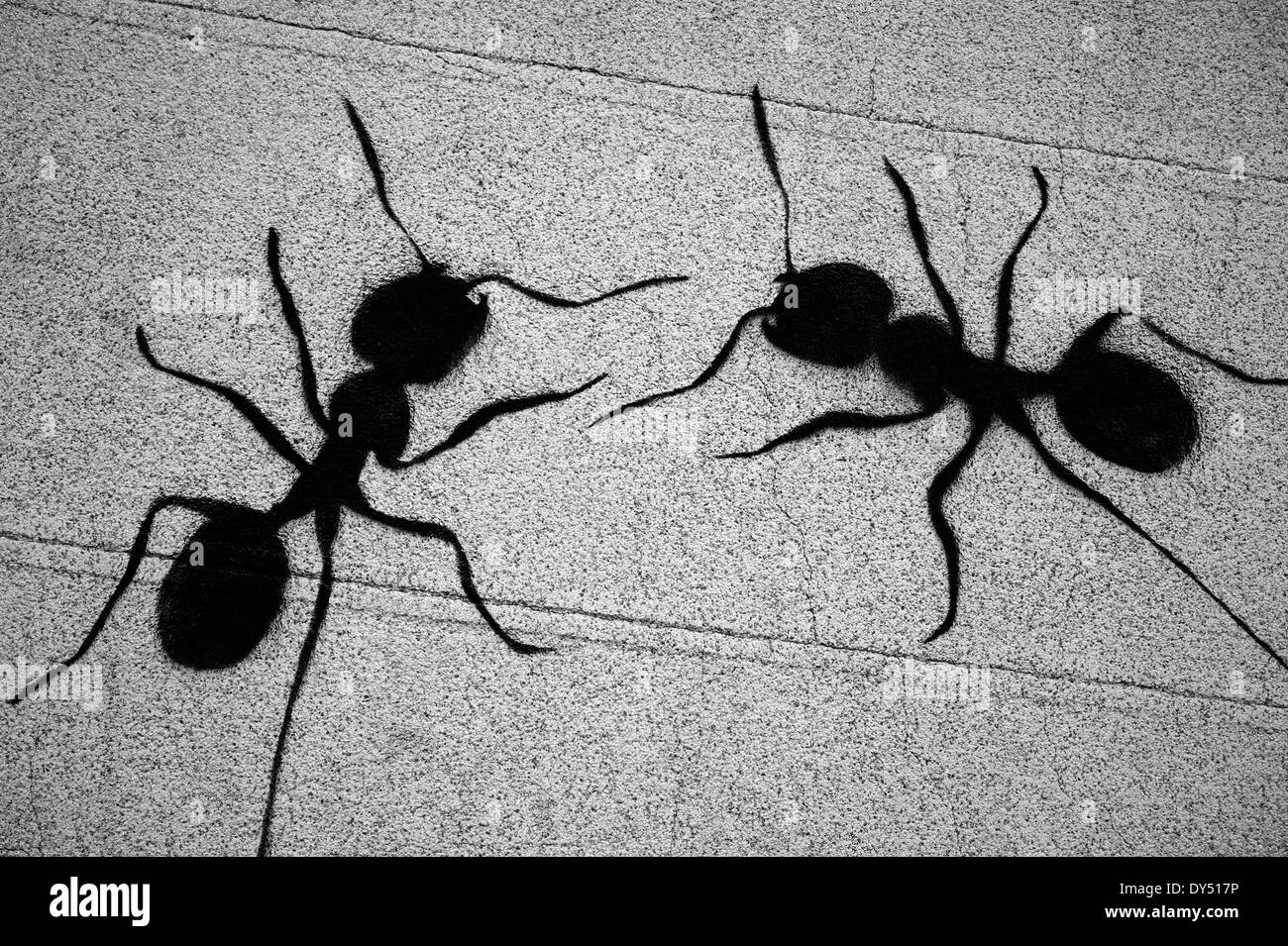 Street art. Ants on a wall Stock Photo