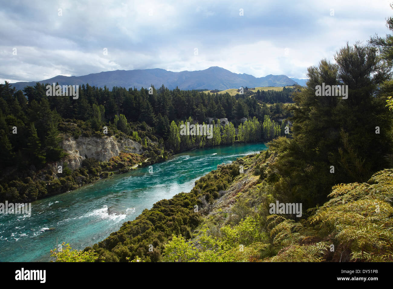 Scenic view of river, forest and mountains, New Zealand Stock Photo