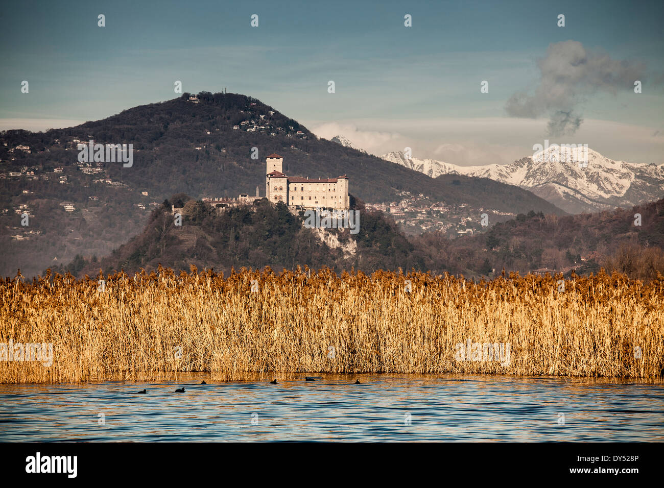 Reeds and Castello di Angera, Lake Maggiore, Italy Stock Photo