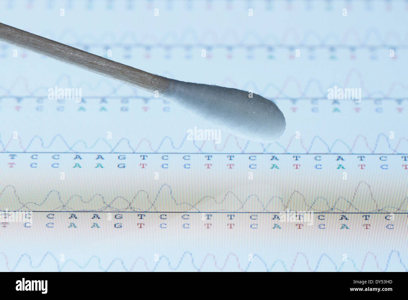 Cotton swab with saliva sample over the screen of a tablet computer that displays results of automated DNA sequencing Stock Photo
