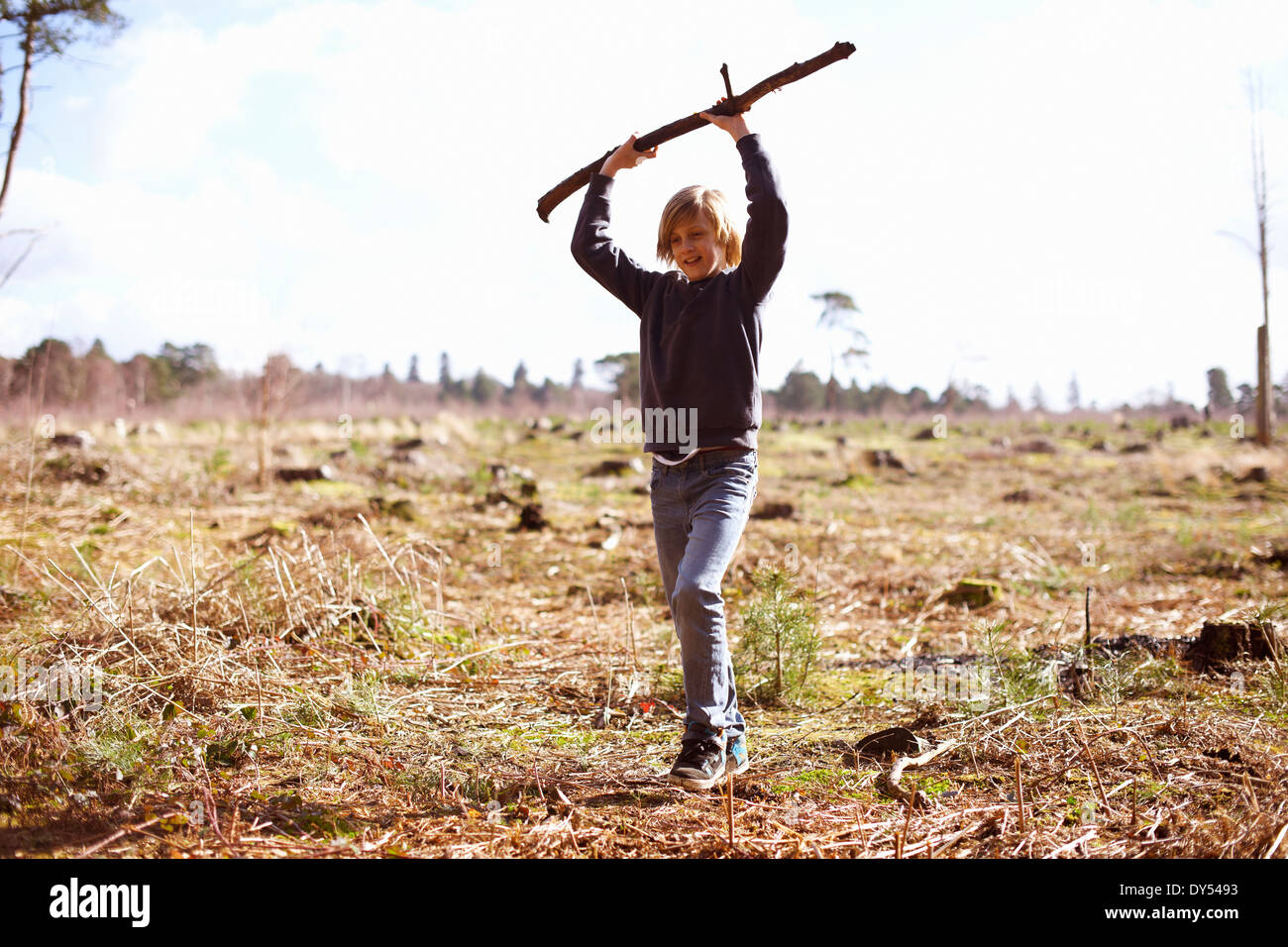Boy holding up a stick in a plantation clearing Stock Photo