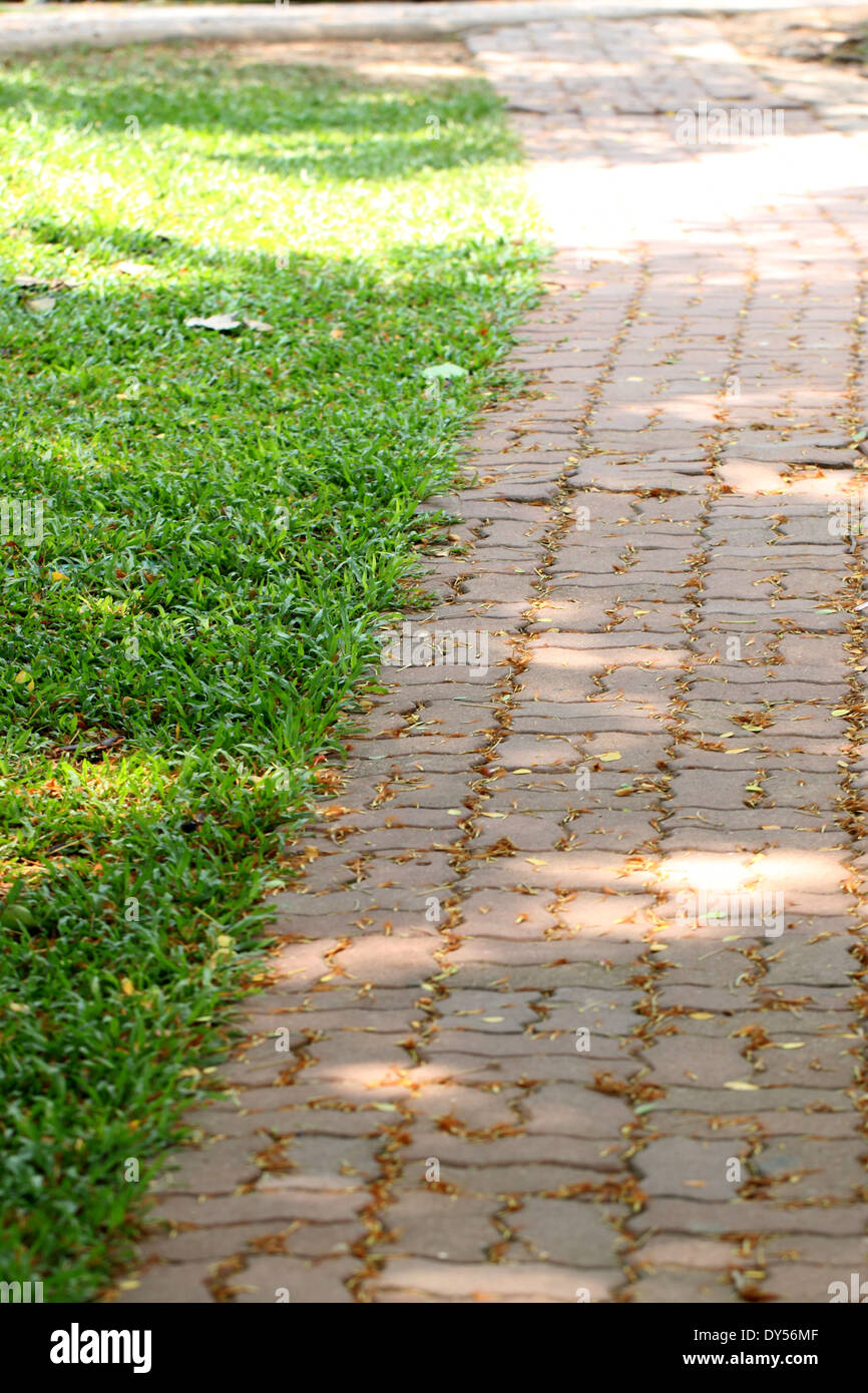The garden walkways with green grass. Stock Photo