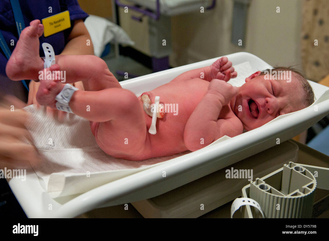 Newborn baby girl being weighed in birthing room Stock Photo