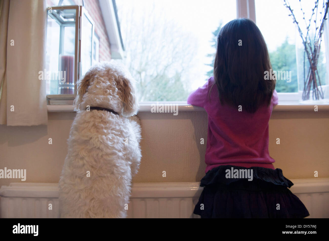 Girl and her pet dog standing and looking out of window Stock Photo