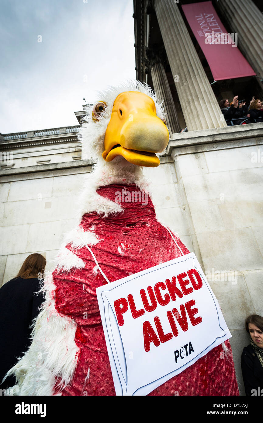 Peta protest against animal hi res stock photography and images Alamy