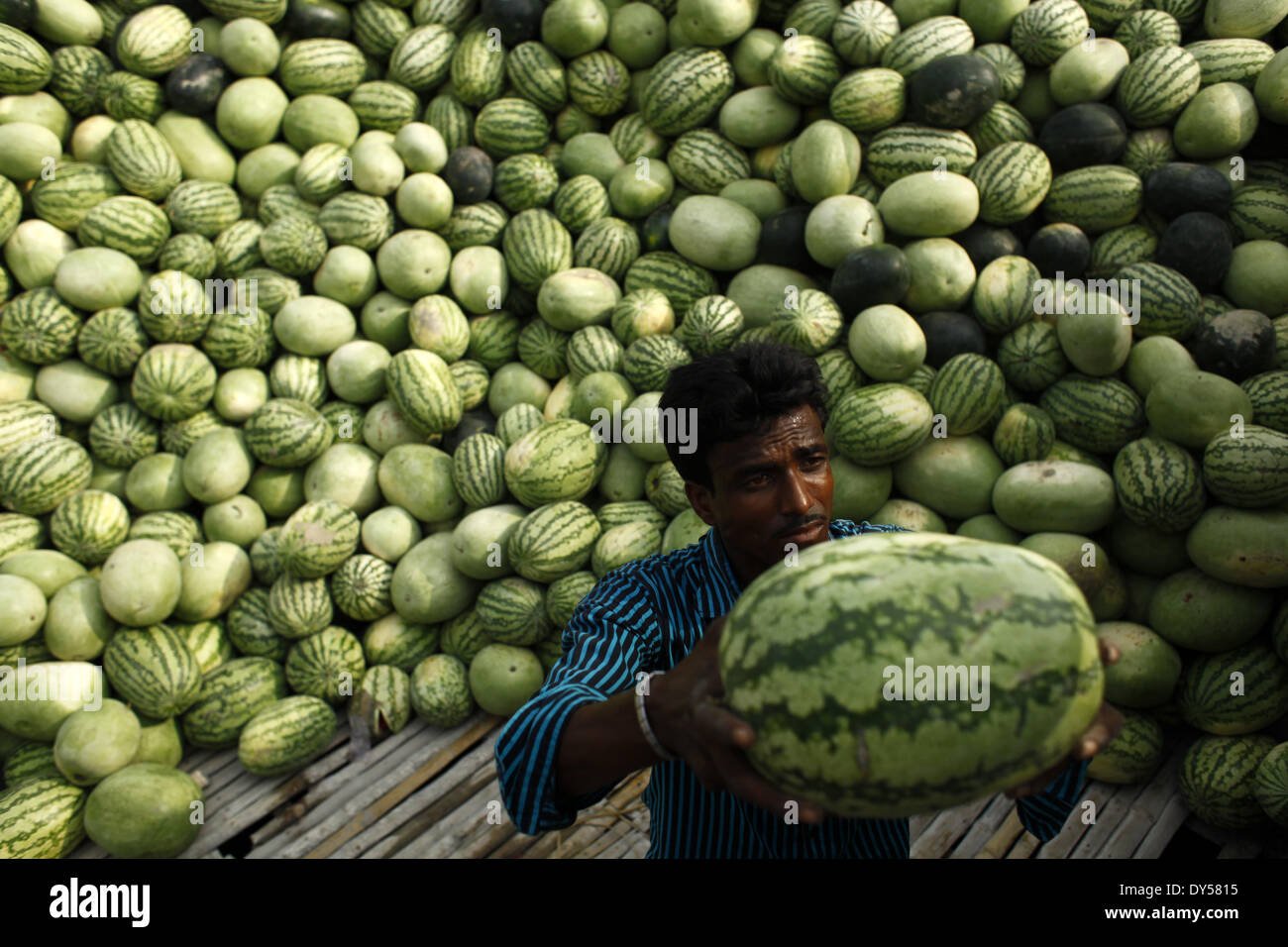 Dhaka, Bangladesh. 7th Apr, 2014. Workers unload watermelons from the ...