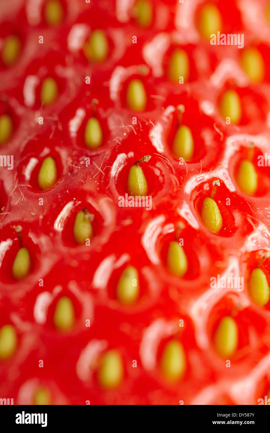 Strawberry seeds up close hires stock photography and images Alamy