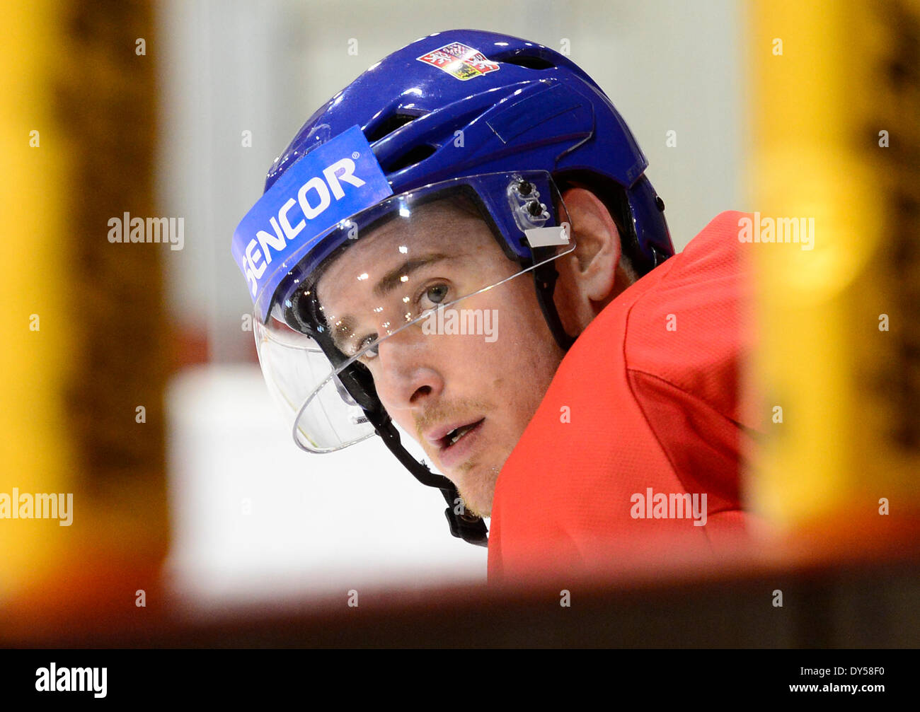 Czech national ice hockey team trains ahead of the Euro Hockey